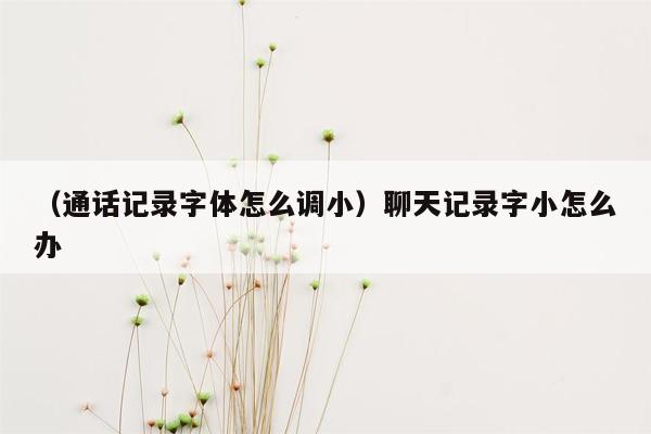 （通话记录字体怎么调小）聊天记录字小怎么办