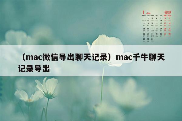 （mac微信导出聊天记录）mac千牛聊天记录导出