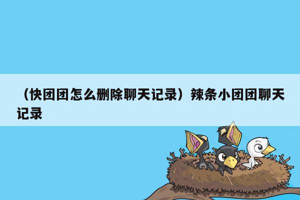 （快团团怎么删除聊天记录）辣条小团团聊天记录