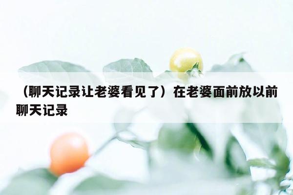 （聊天记录让老婆看见了）在老婆面前放以前聊天记录