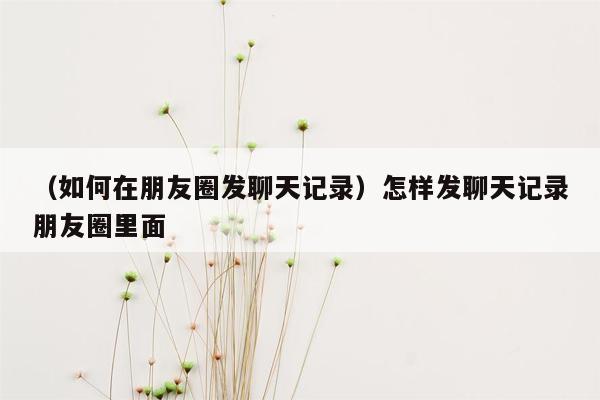 （如何在朋友圈发聊天记录）怎样发聊天记录朋友圈里面