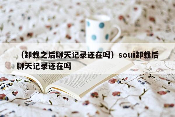 （卸载之后聊天记录还在吗）soui卸载后聊天记录还在吗