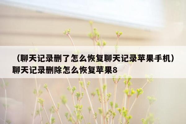 （聊天记录删了怎么恢复聊天记录苹果手机）聊天记录删除怎么恢复苹果8