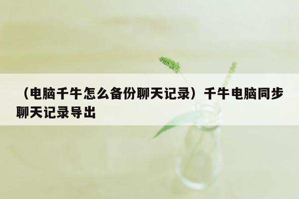 （电脑千牛怎么备份聊天记录）千牛电脑同步聊天记录导出