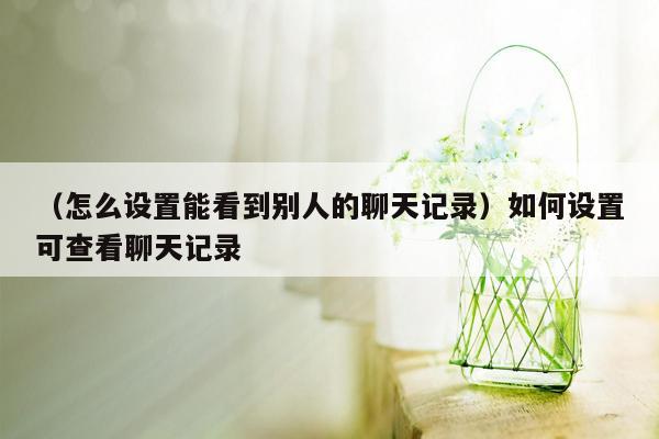 （怎么设置能看到别人的聊天记录）如何设置可查看聊天记录