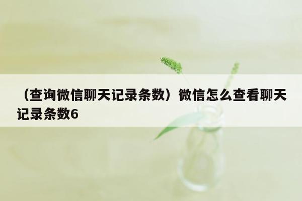 （查询微信聊天记录条数）微信怎么查看聊天记录条数6