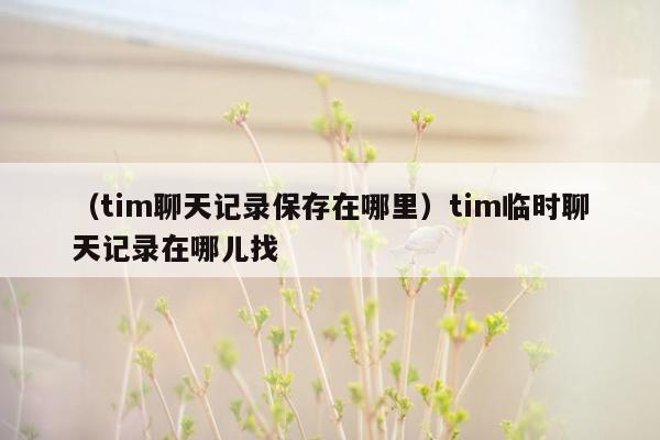 （tim聊天记录保存在哪里）tim临时聊天记录在哪儿找