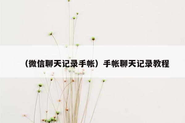 （微信聊天记录手帐）手帐聊天记录教程