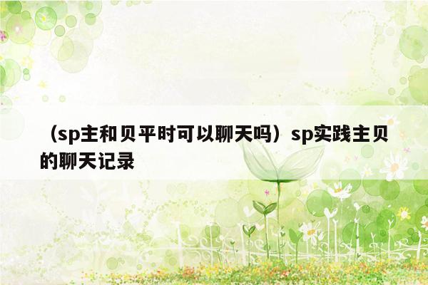 （sp主和贝平时可以聊天吗）sp实践主贝的聊天记录