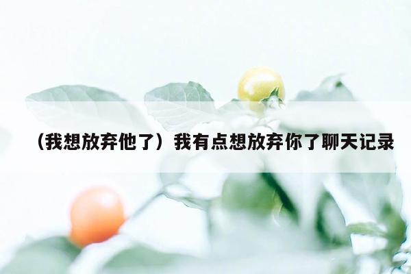 （我想放弃他了）我有点想放弃你了聊天记录