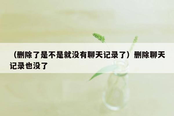 （删除了是不是就没有聊天记录了）删除聊天记录也没了