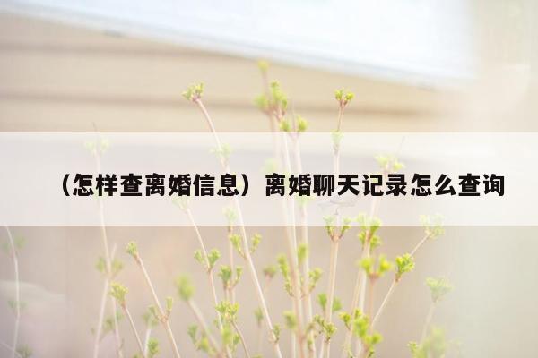 （怎样查离婚信息）离婚聊天记录怎么查询