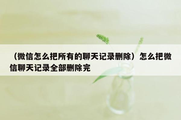 （微信怎么把所有的聊天记录删除）怎么把微信聊天记录全部删除完