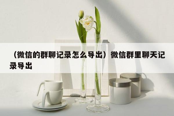 （微信的群聊记录怎么导出）微信群里聊天记录导出