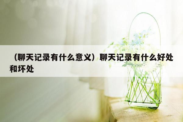 （聊天记录有什么意义）聊天记录有什么好处和坏处