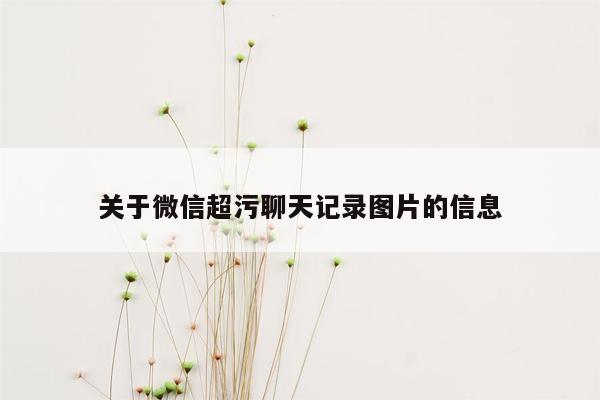 关于微信超污聊天记录图片的信息