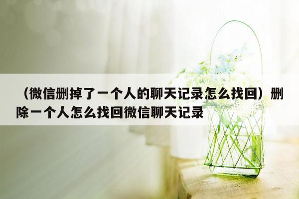 （微信删掉了一个人的聊天记录怎么找回）删除一个人怎么找回微信聊天记录