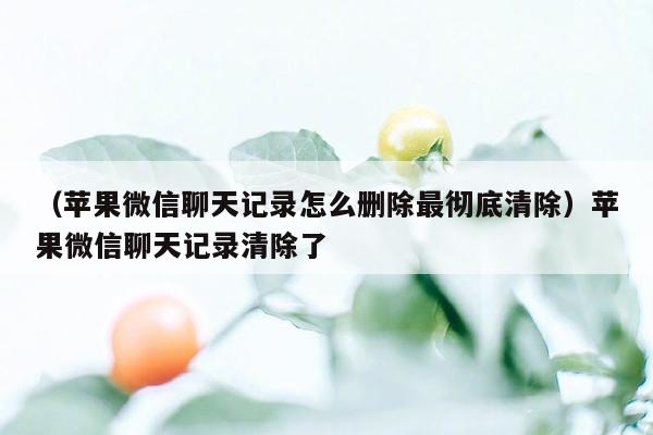 （苹果微信聊天记录怎么删除最彻底清除）苹果微信聊天记录清除了