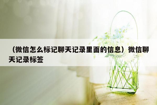 （微信怎么标记聊天记录里面的信息）微信聊天记录标签