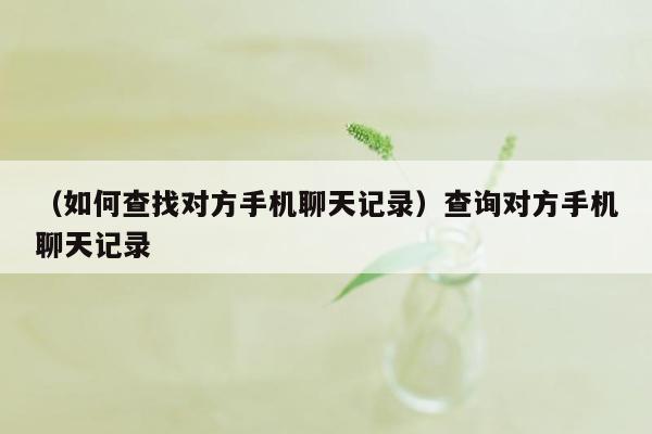 （如何查找对方手机聊天记录）查询对方手机聊天记录