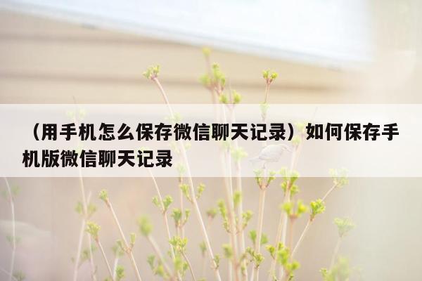 （用手机怎么保存微信聊天记录）如何保存手机版微信聊天记录