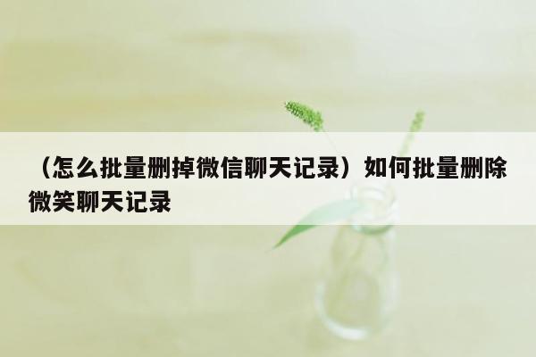 （怎么批量删掉微信聊天记录）如何批量删除微笑聊天记录