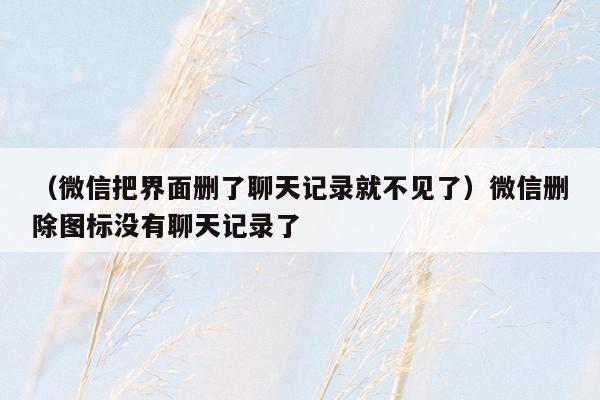 （微信把界面删了聊天记录就不见了）微信删除图标没有聊天记录了