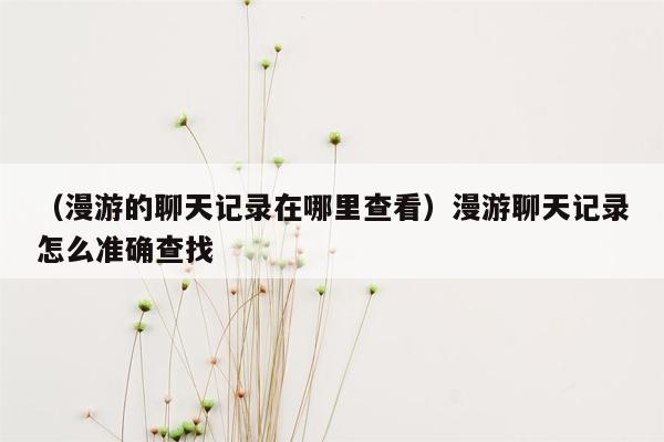 （漫游的聊天记录在哪里查看）漫游聊天记录怎么准确查找