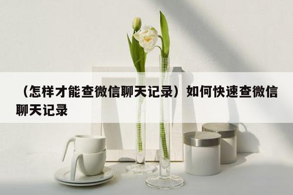 （怎样才能查微信聊天记录）如何快速查微信聊天记录