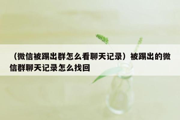 （微信被踢出群怎么看聊天记录）被踢出的微信群聊天记录怎么找回