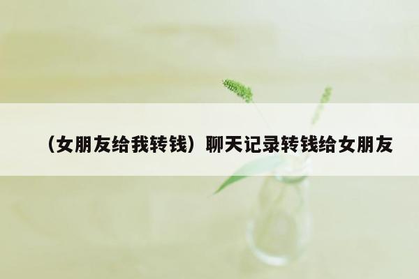 （女朋友给我转钱）聊天记录转钱给女朋友