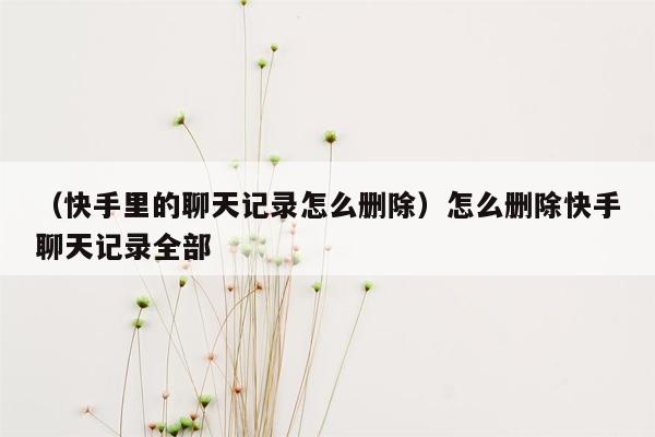 （快手里的聊天记录怎么删除）怎么删除快手聊天记录全部