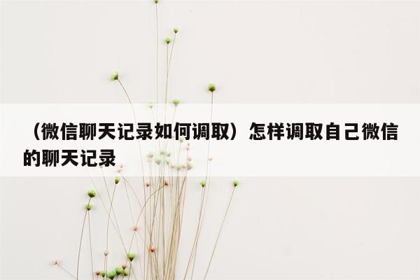 （微信聊天记录如何调取）怎样调取自己微信的聊天记录