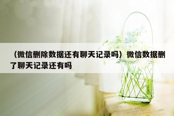 （微信删除数据还有聊天记录吗）微信数据删了聊天记录还有吗