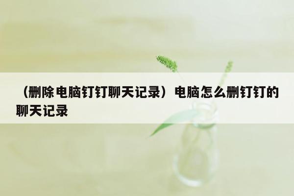 （删除电脑钉钉聊天记录）电脑怎么删钉钉的聊天记录