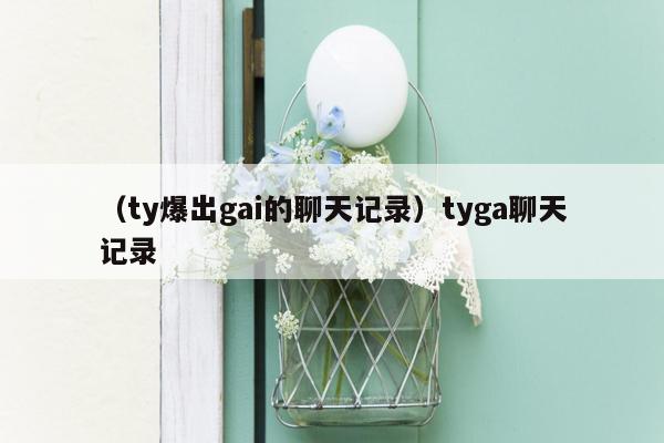 （ty爆出gai的聊天记录）tyga聊天记录