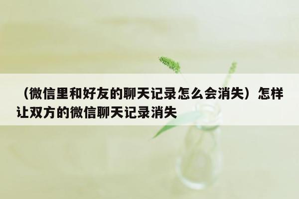 （微信里和好友的聊天记录怎么会消失）怎样让双方的微信聊天记录消失