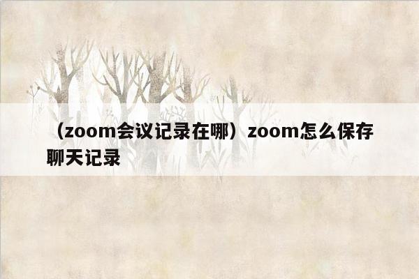 （zoom会议记录在哪）zoom怎么保存聊天记录