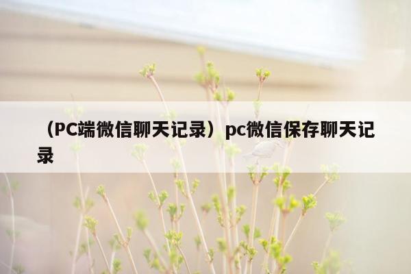 （PC端微信聊天记录）pc微信保存聊天记录