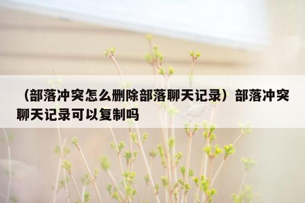 （部落冲突怎么删除部落聊天记录）部落冲突聊天记录可以复制吗