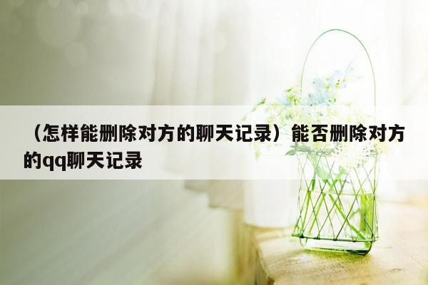 （怎样能删除对方的聊天记录）能否删除对方的qq聊天记录