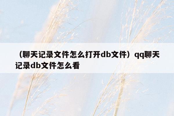 （聊天记录文件怎么打开db文件）qq聊天记录db文件怎么看