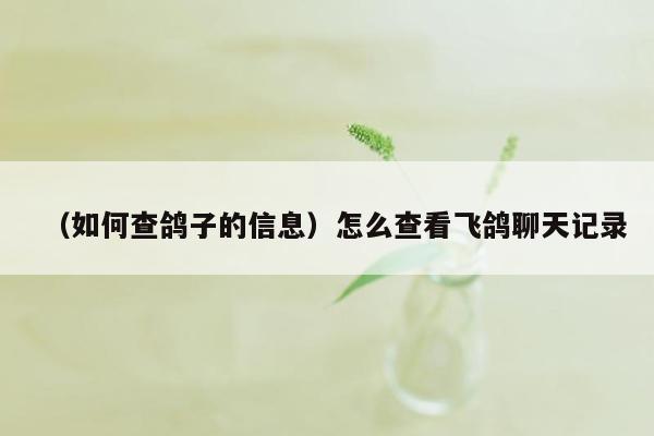 （如何查鸽子的信息）怎么查看飞鸽聊天记录