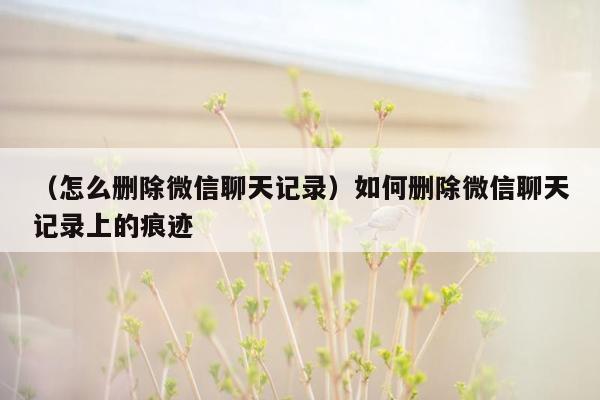 （怎么删除微信聊天记录）如何删除微信聊天记录上的痕迹