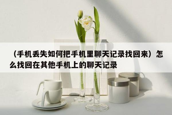 （手机丢失如何把手机里聊天记录找回来）怎么找回在其他手机上的聊天记录