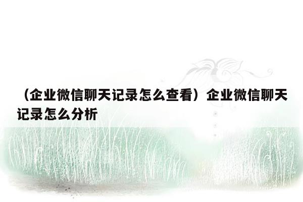 （企业微信聊天记录怎么查看）企业微信聊天记录怎么分析