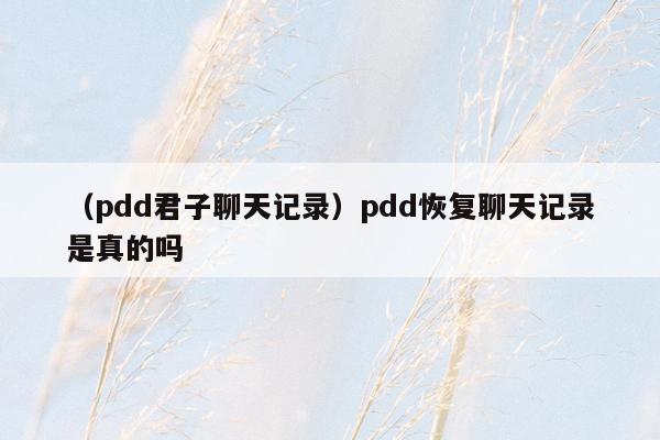 （pdd君子聊天记录）pdd恢复聊天记录是真的吗