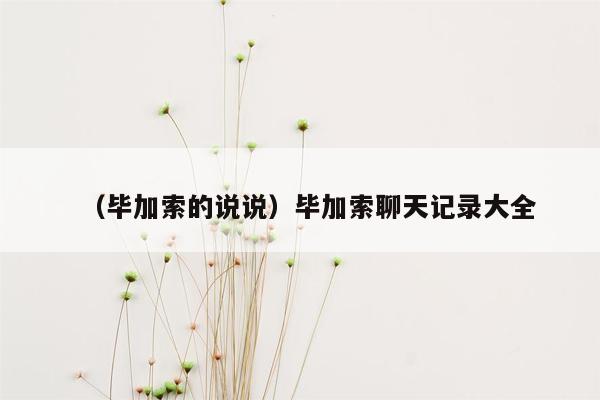 （毕加索的说说）毕加索聊天记录大全