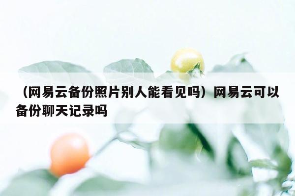 （网易云备份照片别人能看见吗）网易云可以备份聊天记录吗