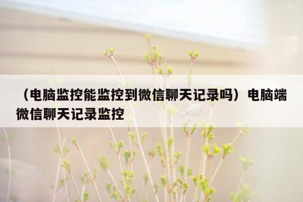 （电脑监控能监控到微信聊天记录吗）电脑端微信聊天记录监控